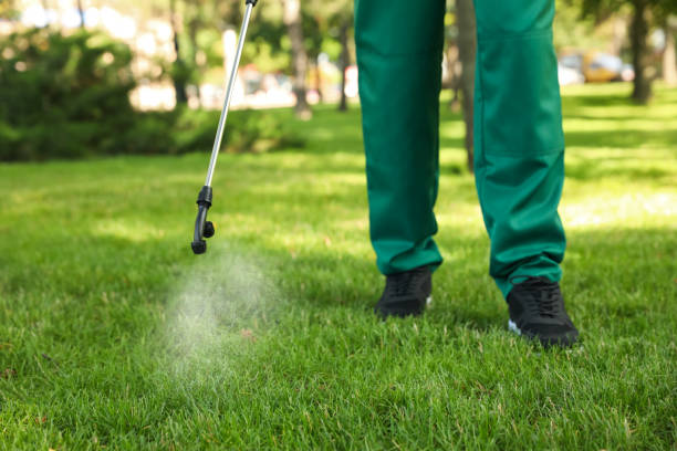 Trusted East Palo Alto, CA Pest Control Experts