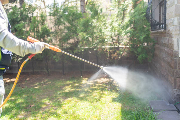 Best Mosquito Control Services  in East Palo Alto, CA