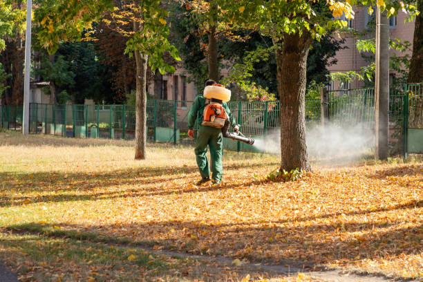 Best Best Pest Control Companies  in East Palo Alto, CA