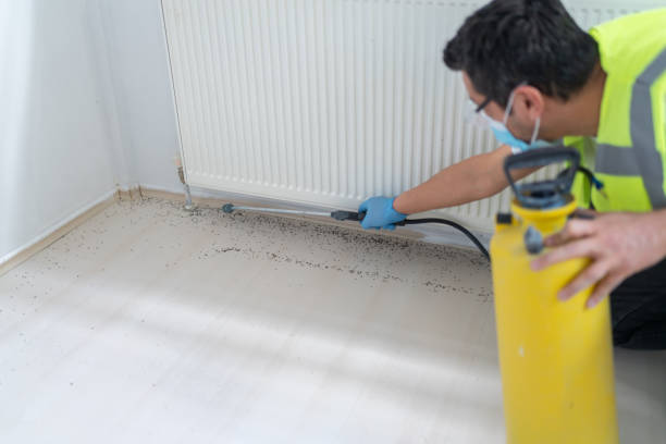 Best Best Pest Control Companies  in East Palo Alto, CA