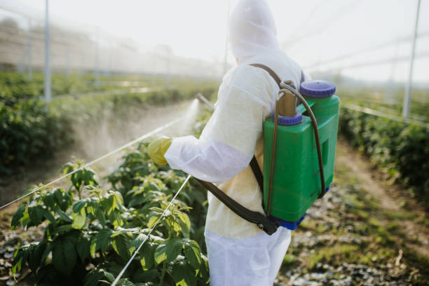 Pest Prevention Services in East Palo Alto, CA